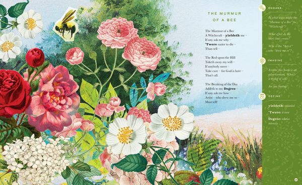 Produktbild: The Illustrated Emily Dickinson