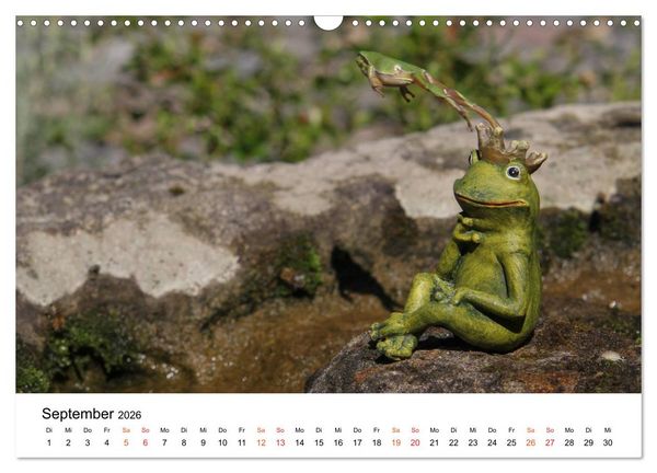 Produktbild: Besucher im Garten - Laubfr&ouml;sche (Wandkalender 2026 DIN A3 quer), CALVENDO Monatskalender