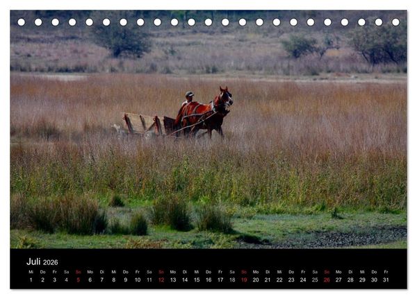 Produktbild: Donaudelta (Tischkalender 2026 DIN A5 quer), CALVENDO Monatskalender
