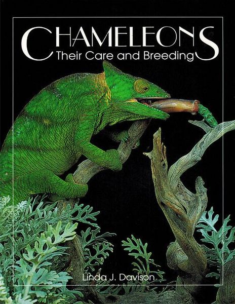 Produktbild: Chameleons
