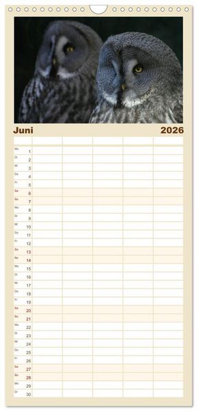Produktbild: Familienplaner 2026 - Eulen. Gefiederte Weisheit mit 5 Spalten (Wandkalender, 21 x 45 cm) CALVENDO