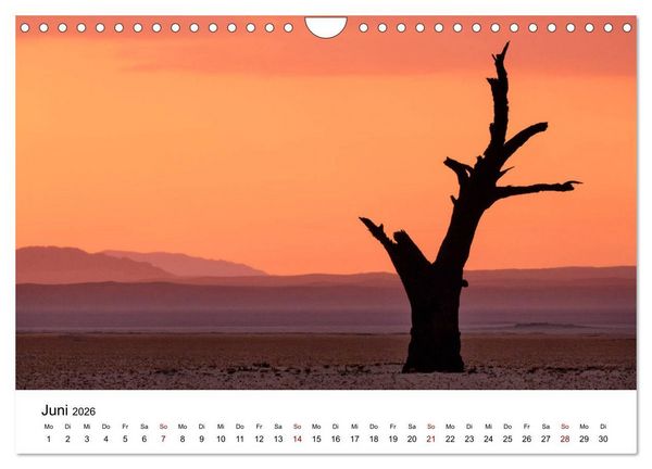 Produktbild: B&auml;ume in Namibias Landschaften (Wandkalender 2026 DIN A4 quer), CALVENDO Monatskalender