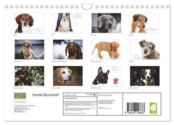Produktbild: Hunde-Spruchreif (Wandkalender 2026 DIN A4 quer), CALVENDO Monatskalender
