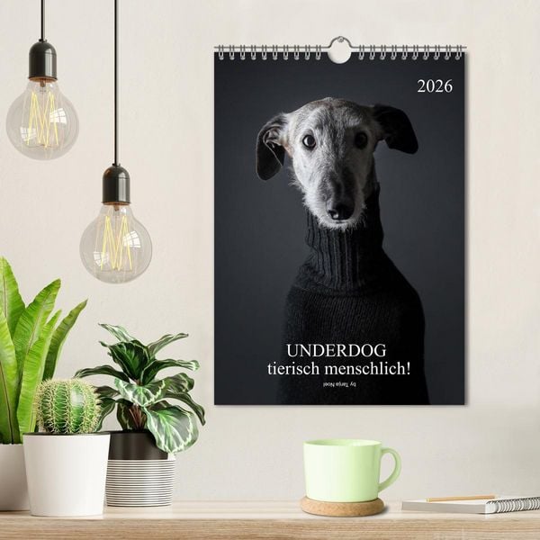 Produktbild: UNDERDOG - Windhundportraits (Wandkalender 2026 DIN A4 hoch), CALVENDO Monatskalender