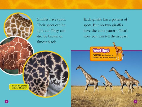 Produktbild: NAT GEO READER - GIRAFFES