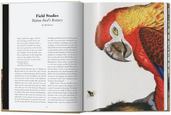 Produktbild: Walton Ford