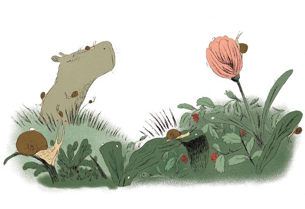 Produktbild: Die Weisheit des Capybara