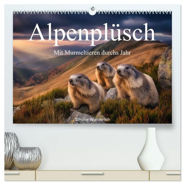 Produktbild: Alpenpl&uuml;sch - Mit Murmeltieren durchs Jahr (hochwertiger Premium Wandkalender 2026 DIN A2 quer), Kunstdruck in Hochglanz