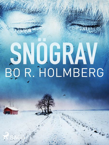 Produktbild: Sn&ouml;grav