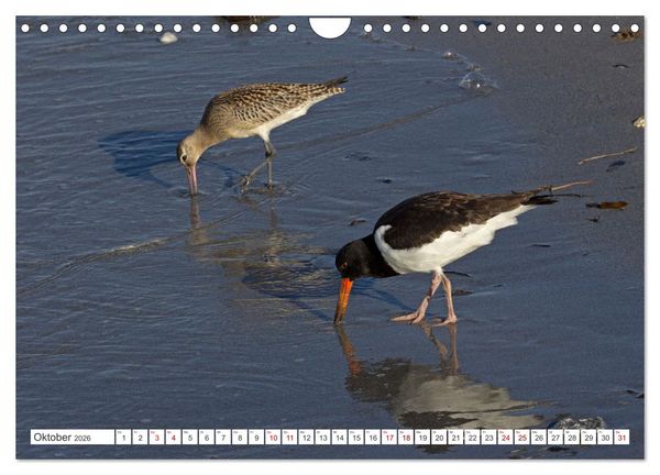 Produktbild: Helgoland - Hochseeinsel in der Nordsee (Wandkalender 2026 DIN A4 quer), CALVENDO Monatskalender