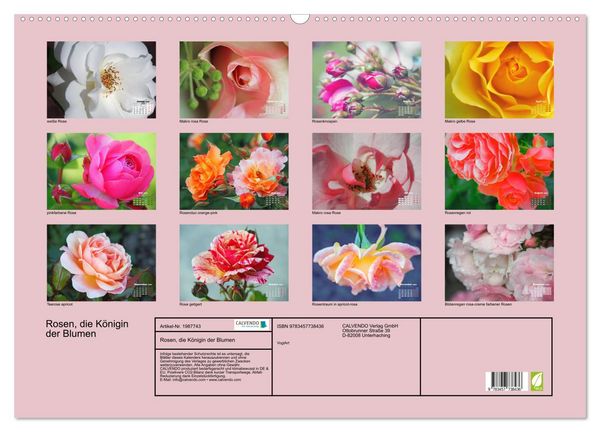 Produktbild: Rosen, die K&ouml;nigin der Blumen (Wandkalender 2026 DIN A2 quer), CALVENDO Monatskalender