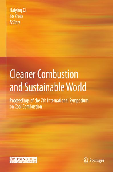 Produktbild: Cleaner Combustion and Sustainable World
