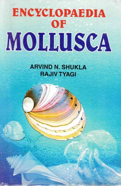 Produktbild: Encyclopaedia of Mollusca (Evolutionary Molluscs)