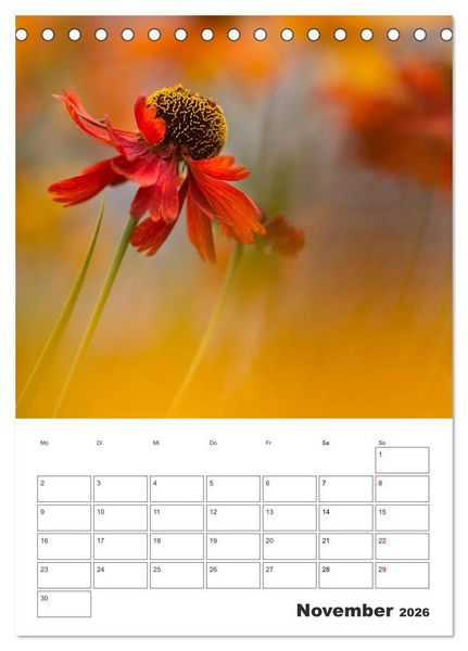 Produktbild: Farbiger Bl&uuml;tentraum (Tischkalender 2026 DIN A5 hoch), CALVENDO Monatskalender