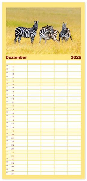 Produktbild: Familienplaner 2026 - Zebras - Die gestreiften Vierbeiner. mit 5 Spalten (Wandkalender, 21 x 45 cm) CALVENDO