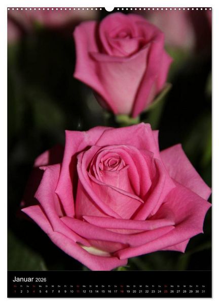 Produktbild: Zauberhafte Rosen (hochwertiger Premium Wandkalender 2026 DIN A2 hoch), Kunstdruck in Hochglanz