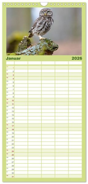 Produktbild: Familienplaner 2026 - Europas Greifv&ouml;gel und Eulen mit 5 Spalten (Wandkalender, 21 x 45 cm) CALVENDO