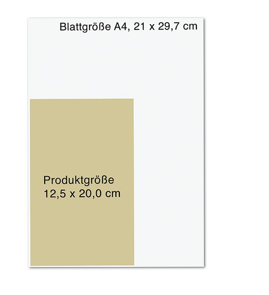 Produktbild: No Escape - Insel der Toten