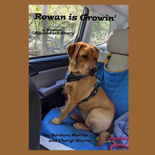 Produktbild: Rowan is Growin'