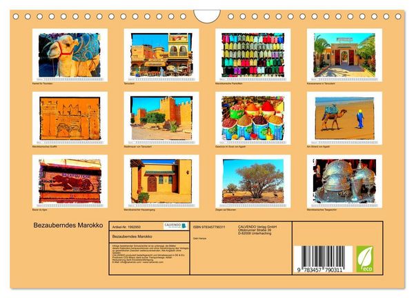 Produktbild: Bezauberndes Marokko (Wandkalender 2026 DIN A4 quer), CALVENDO Monatskalender