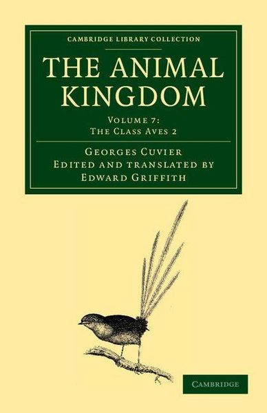 Produktbild: The Animal Kingdom - Volume 7