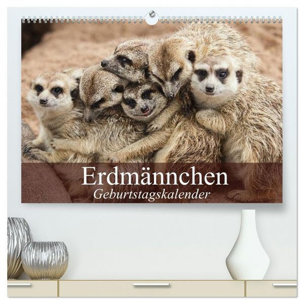 Erdmännchen (hochwertiger Premium Wandkalender 2026 DIN A2 quer), Kunstdruck in Hochglanz
