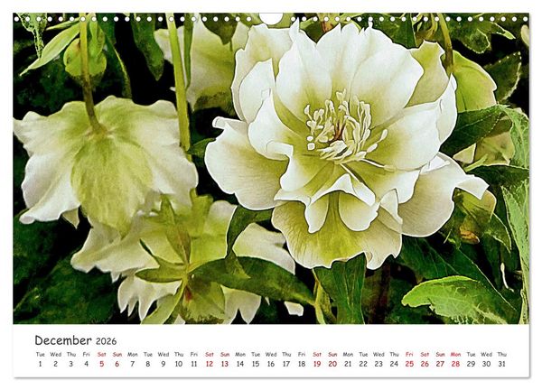 Produktbild: Vivacious Florals (Wall Calendar 2026 DIN A3 landscape), CALVENDO 12 Month Wall Calendar