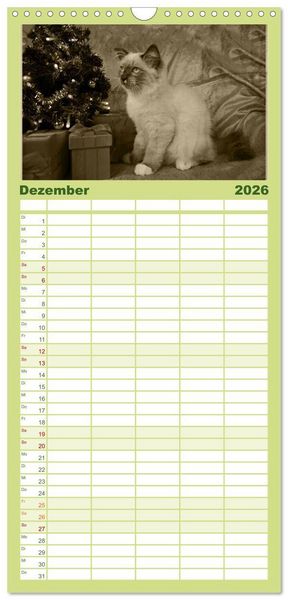 Produktbild: Familienplaner 2026 - Oma's Katzenkalender 2026 mit 5 Spalten (Wandkalender, 21 x 45 cm) CALVENDO