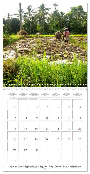 Produktbild: Travel around Java (Wall Calendar 2026 12 &times; 12 Inch) CALVENDO 12 Month Wall Calendar