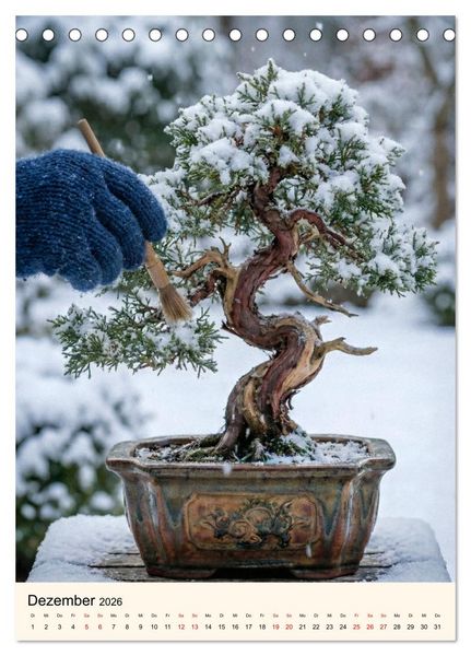 Produktbild: Spirit of Bonsai &ndash; Japanische Meisterwerke 2026 (Tischkalender 2026 DIN A5 hoch), CALVENDO Monatskalender
