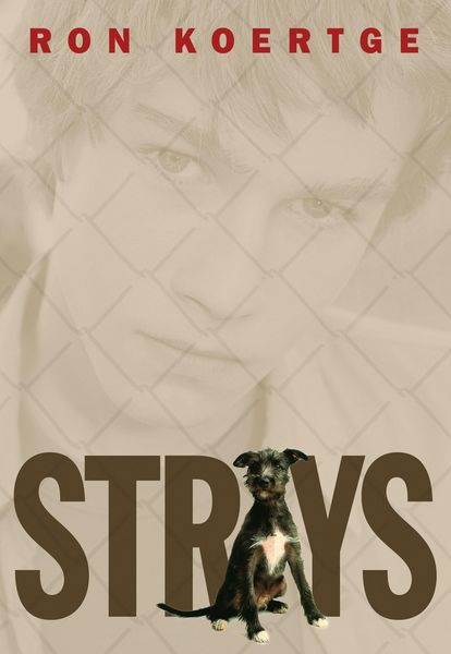Produktbild: Strays