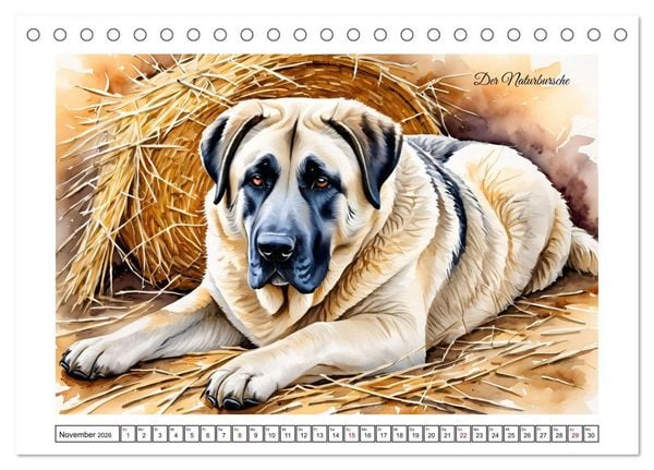 Produktbild: Hundetr&auml;ume (Tischkalender 2026 DIN A5 quer), CALVENDO Monatskalender