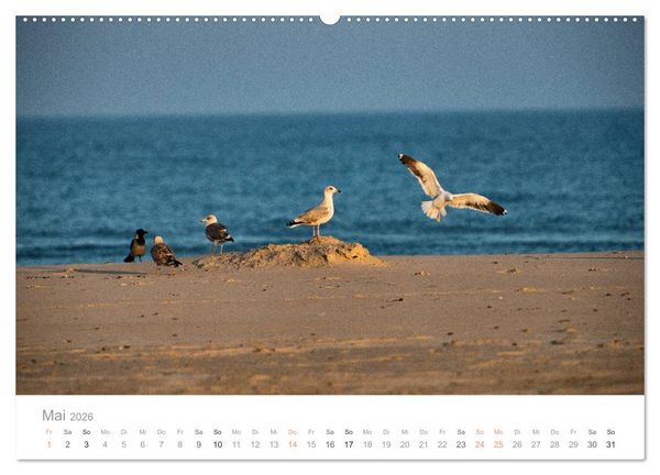 Produktbild: Traumziel D&auml;nemark (Wandkalender 2026 DIN A2 quer), CALVENDO Monatskalender