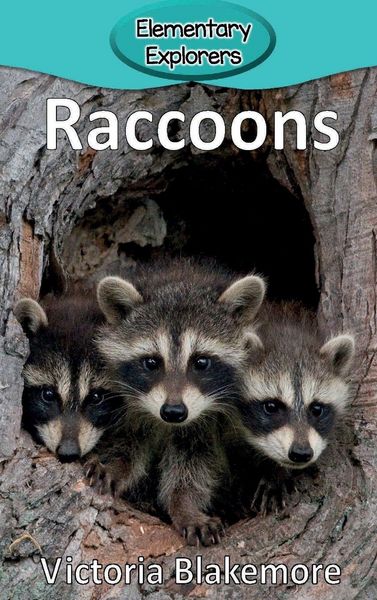 Produktbild: Raccoons