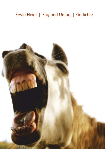 Fug und Unfug, Taschenbuch von Erwin Heigl, BoD – Books on Demand, 9783751921657