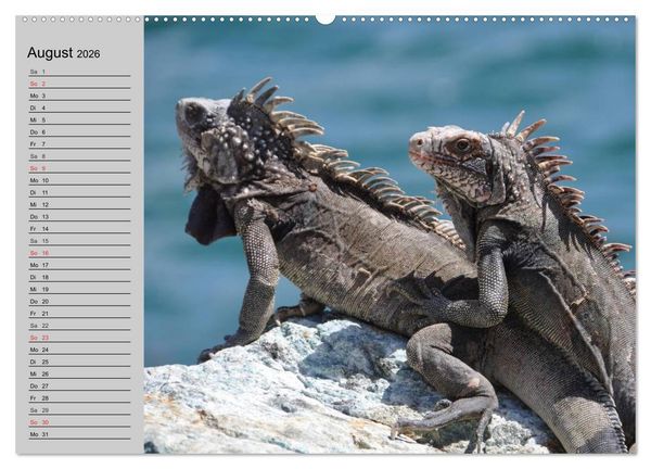 Produktbild: Kaltes Blut. Faszination Reptilien (hochwertiger Premium Wandkalender 2026 DIN A2 quer), Kunstdruck in Hochglanz