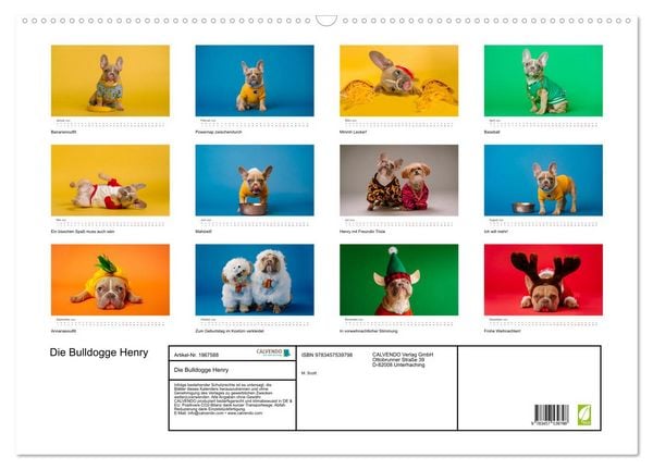 Produktbild: Die Bulldogge Henry (Wandkalender 2026 DIN A2 quer), CALVENDO Monatskalender