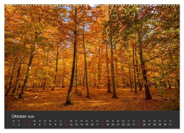 Produktbild: Mecklenburg-Vorpommern (Wandkalender 2026 DIN A2 quer), CALVENDO Monatskalender