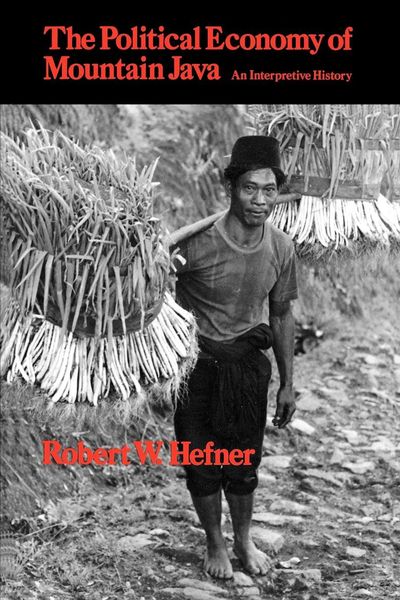 Produktbild: The Political Economy of Mountain Java