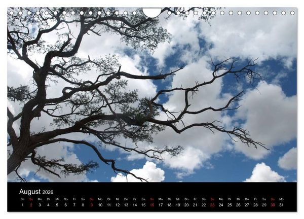 Produktbild: W&uuml;stenzauber Namibia (Wandkalender 2026 DIN A4 quer), CALVENDO Monatskalender