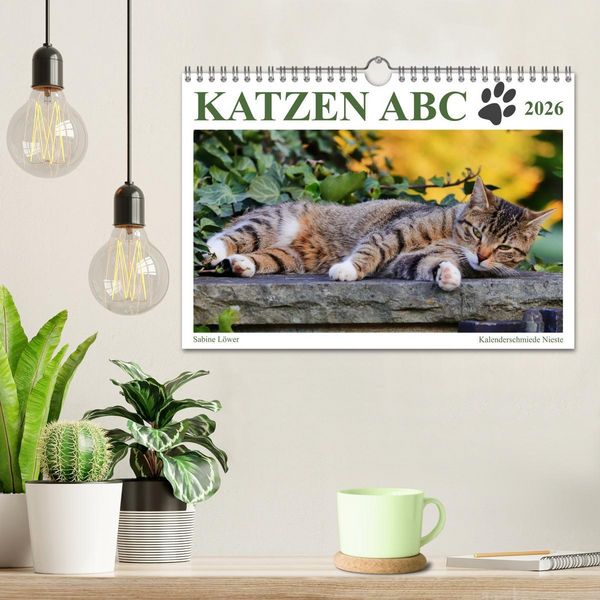 Produktbild: Katzen ABC (Wandkalender 2026 DIN A4 quer), CALVENDO Monatskalender