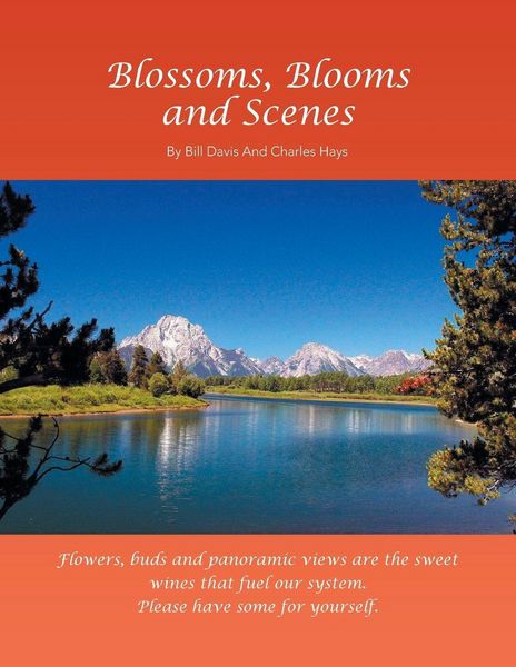 Produktbild: Blossoms, Blooms and Scenes