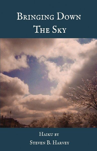 Produktbild: BRINGING DOWN THE SKY