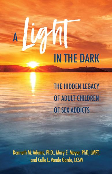 Produktbild: A Light in the Dark