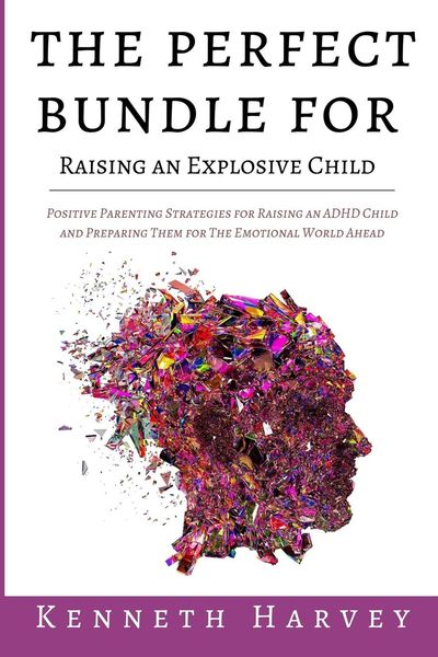 Produktbild: The Perfect Bundle For Raising an Explosive Child