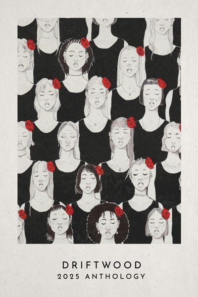 Produktbild: Driftwood Press 2025 Anthology