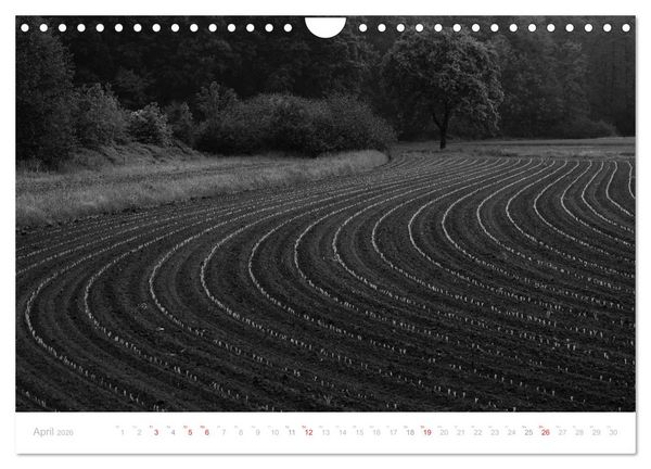 Produktbild: Mystischer Schwarzwald (Wandkalender 2026 DIN A4 quer), CALVENDO Monatskalender