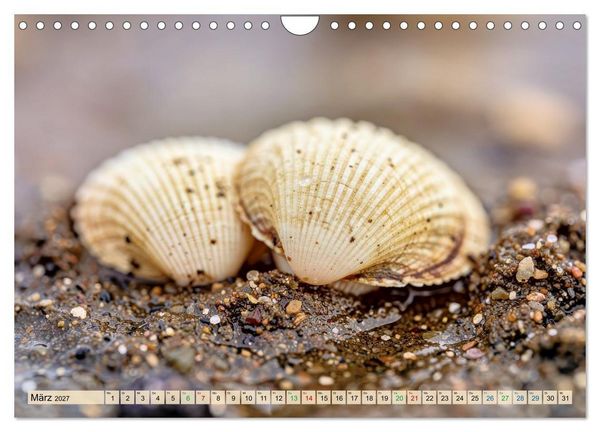 Produktbild: Die kleinsten Tiere - Weltweit (Wandkalender 2027 DIN A4 quer), CALVENDO Monatskalender