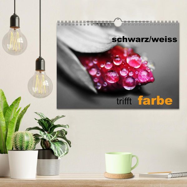 Produktbild: schwarz/wei&szlig; trifft farbe (Wandkalender 2026 DIN A4 quer), CALVENDO Monatskalender