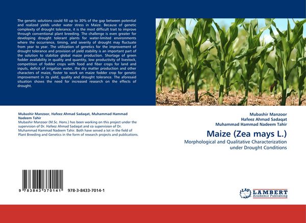 Produktbild: Maize (Zea mays L.)